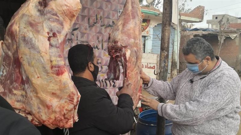 جانب من الحملة