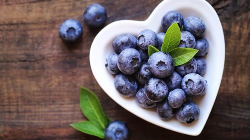 التوت الأزرق