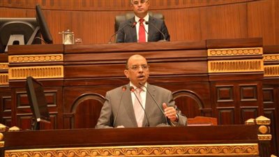 وزير التنمية المحلية أمام 