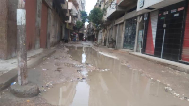 برك ومستنقعات مائية