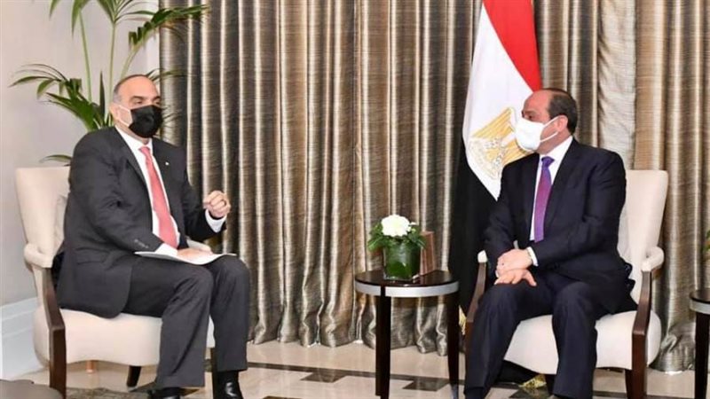 الرئيس السيسي يثمن