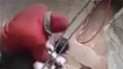 الرضيعة والجاحد.. خبراء: 