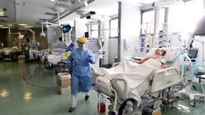 الجزائر تسجل 265 إصابة جديدة و6 حالات وفاة بفيروس كورونا