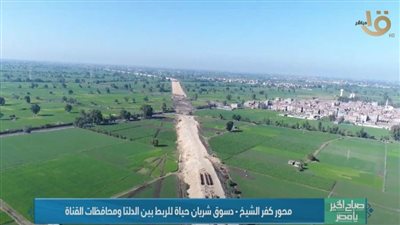 نشرة الميديا.. اكتشافات سقارة الأثرية وجهود الدولة المصرية في التحول الرقمي الأبرز 