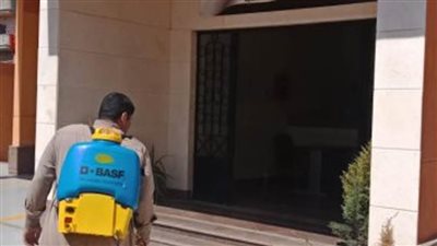 محافظة الغربية.. تعقيم 120 مؤسسة و80 قرية في المحلة 