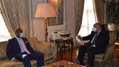 شكري يبحث مع سكرتير عام 