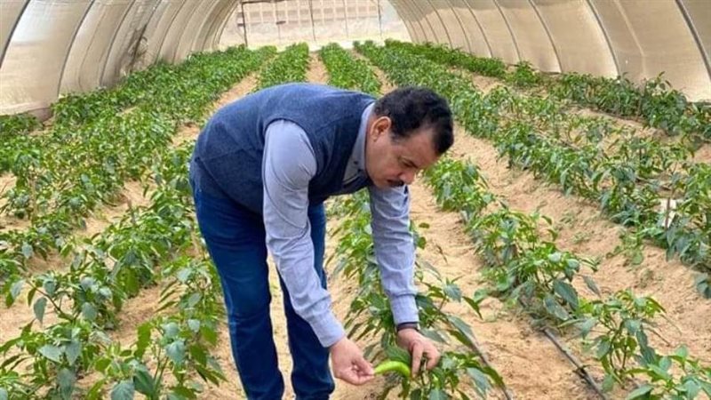 رئيس جامعة الوادي