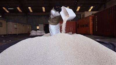 السعودية.. إحباط تهريب أكثر من 20 مليون قرص مخدر  (صور)