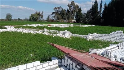 استمرار حملات إزالة التعديات على الأراضي الزراعية بالبحيرة.. (صور)