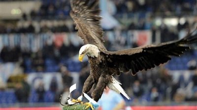 لاتسيو يبرم صفقة 