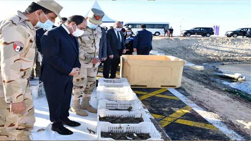 الرئيس عبدالفتاح