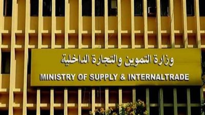 الآن.. لينك بوابة مصر الرقمية 2021 للاستعلام عن إضافة المواليد.. إليك التفاصيل