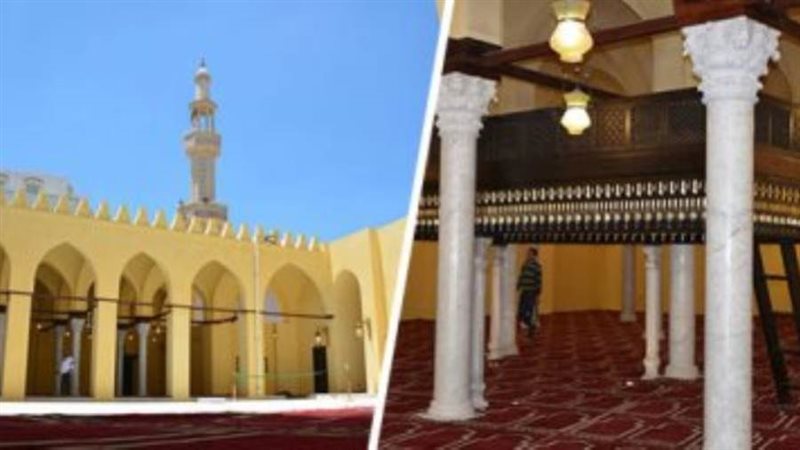 بوابة روز اليوسف