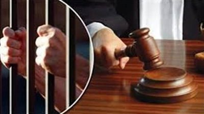 29 مارس الحكم على 4 متهمين بأحداث عنف الذكرى الثالثة لـ25 يناير