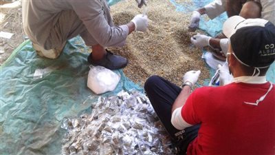 تنفيذ حملة مكافحة 