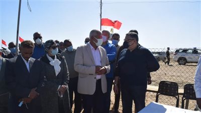  غابات المانجروف في سفاجا .. نموذج للعمل الحكومي الجماعي