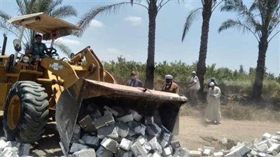 إزالة بناء مخالف على مساحة 1000 متر من الأراضي الزراعية بالإسكندرية