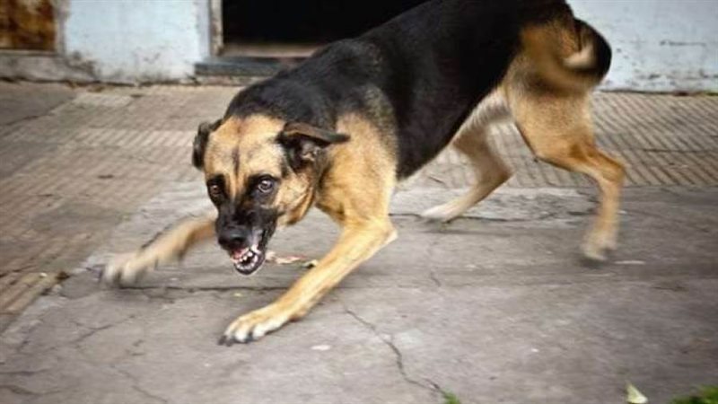 صورة أرشيفة