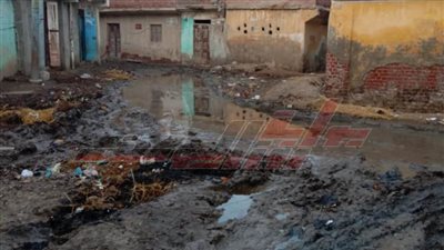 أهالي قرى كفر الشيخ يشكرون الرئيس السيسي لإطلاقه مبادرة تطوير قراهم