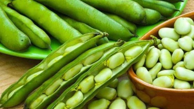 الفول الأخضر