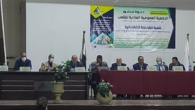 بالصور.. مهندسو الإسكندرية يشاركون فى الجمعية العمومية لشعبتى الميكانيكا والكهرباء 