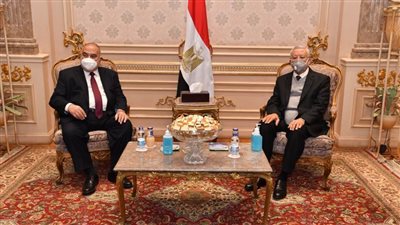 رئيس المحكمة الدستورية العليا يهنئ المستشار حنفي جبالي رئيس مجلس النواب.. (صور)