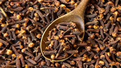 قصة زراعة محصول القرنفل في زنجبار