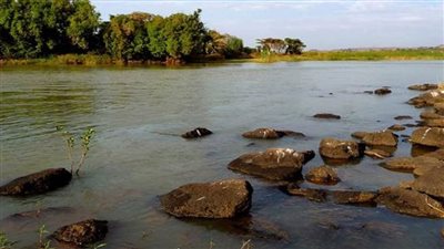 مصر تشارك العالم الاحتفال باليوم العالمي للأراضي الرطبة