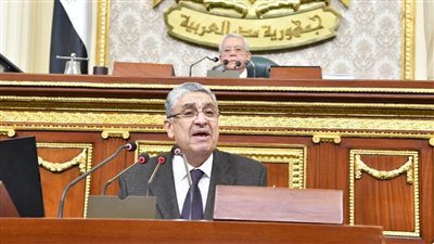 وزير الكهرباء أمام 