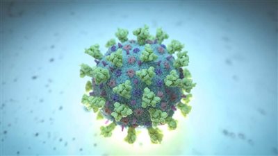 اكتشاف طفرة جديدة من السلالة 