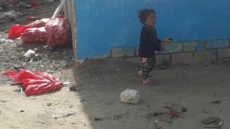 صورة من طبيعة الحياة