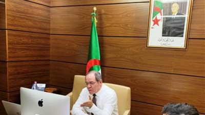 الاتحاد الإفريقي يرشح الجزائر لعضوية مجلس الأمن الدولي