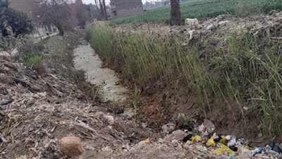 مصرف قرية الشيخ شحاتة بأسيوط ينتظر 