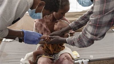 جلسة مغلقة بمجلس الأمن كشفت حقيقة انتصار أثيوبيا في 