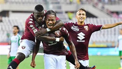 أتلانتا يتعادل مع تورينو بالدوري الإيطالي لكرة القدم