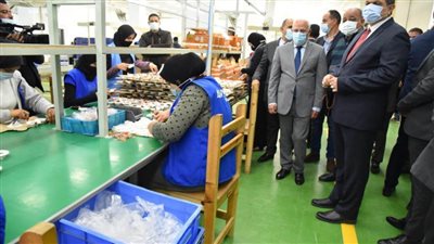 وزير القوى العاملة ومحافظ بورسعيد يتفقدان مصنع أفينا للأدوات الكهربائية