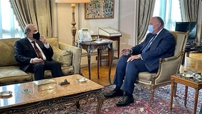 شكري يؤكد دعم مصر الكامل للبنان 