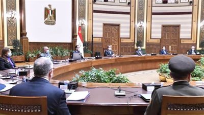 الرئيس السيسي يتابع آخر مستجدات مشروع تطوير القرى المصرية 