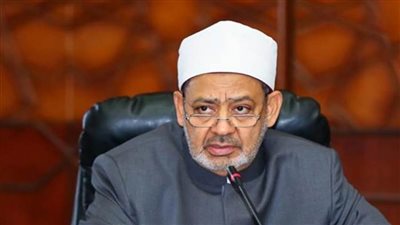 شيخ الأزهر: التحقيق الدولي في جرائم الكيان الصهيوني بارقة أمل لاستعادة الحقوق الفلسطينية