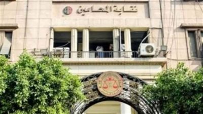 اليوم.. المرحلة الثانية لانتخابات النقابات الفرعية للمحامين