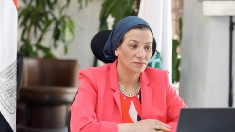 ياسمين فؤاد وزيرة