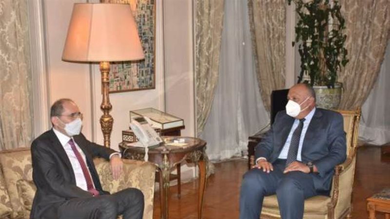 شكري يبحث مع نظيره