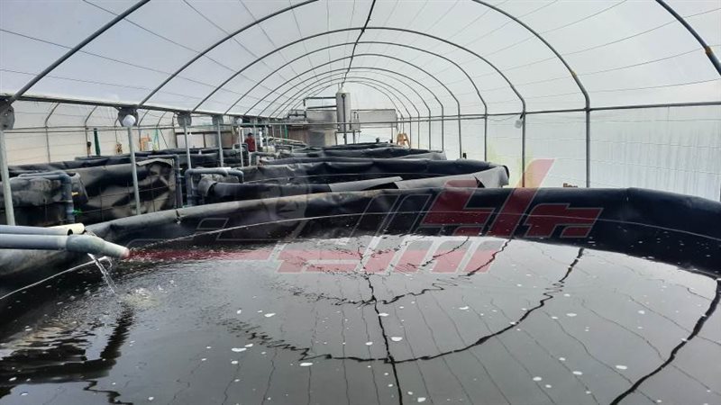 مشروع المزرعة السمكية