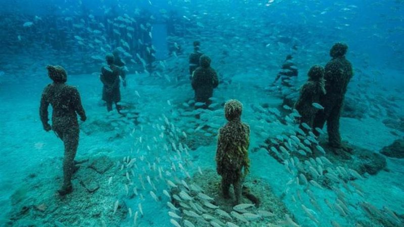 جانب من المعروض