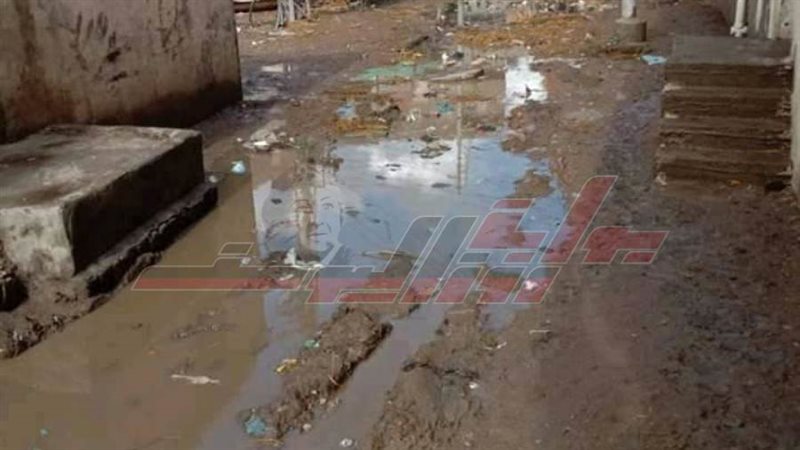 شوارع القرية