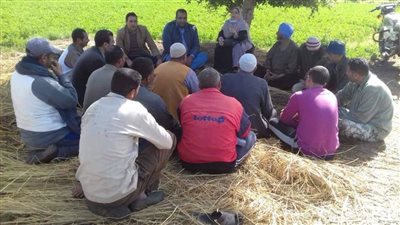 الإرشاد الزراعى بالبحيرة ينظم ندوة إرشادية لمزارعى القمح بالبحيرة