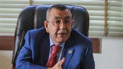 سعيد أبو علي يطلع سفيرة سلوفينيا على قرارات وزراء الخارجية العرب