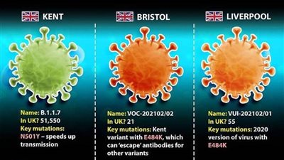 “Kent Covid” سلالة متحولة سيكتسح العالم