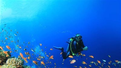 زيادة نسبة إشغالات الفنادق نتيجة مبادرة 