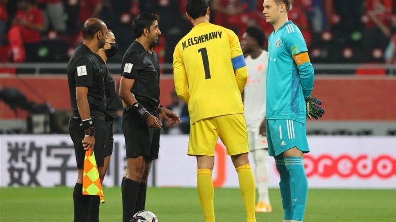 محمد الشناوي-نوير